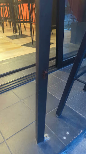 Comentarii opinii despre Thunder Bar Phuket