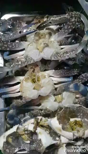 Apple's Box Kamala Food & Drink - อำเภอกะทู้