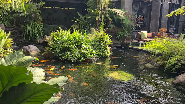 เรนฟอร์เรสคาเฟ่ พัทยา - อำเภอบางละมุง