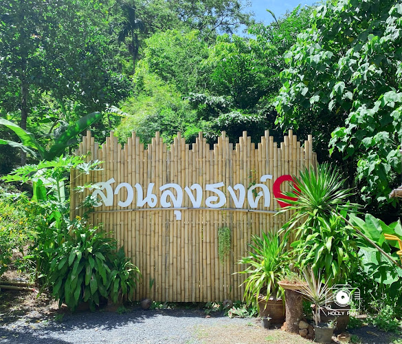 บ้านสวนลุงรงค์ Suan Lung Rong. Cafe'and restaurant - การบริการอาหารและที่พัก