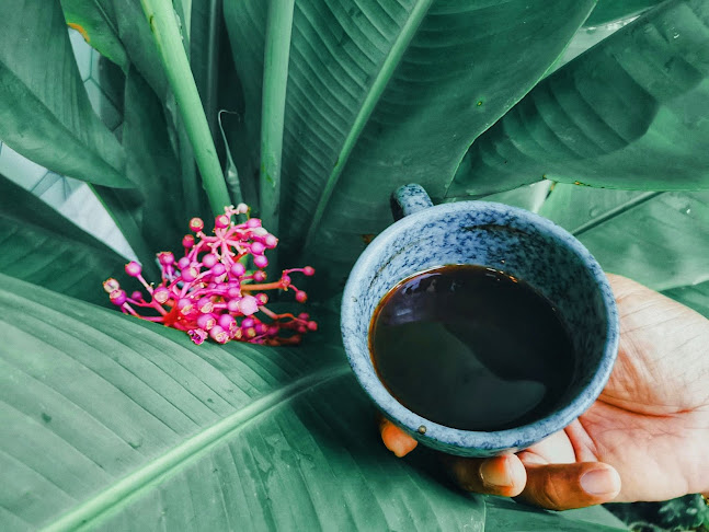 Cafe'ine Coffee Cafe' - การบริการอาหารและที่พัก