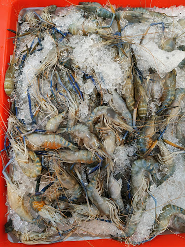 Opinii despre In sea บุฟเฟต์ทะเลเผา în อำเภอเมืองอุบลราชธานี - การบริการอาหารและที่พัก