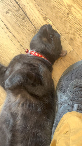 ญ่าคาเฟ่ • Coffee & Desserts •