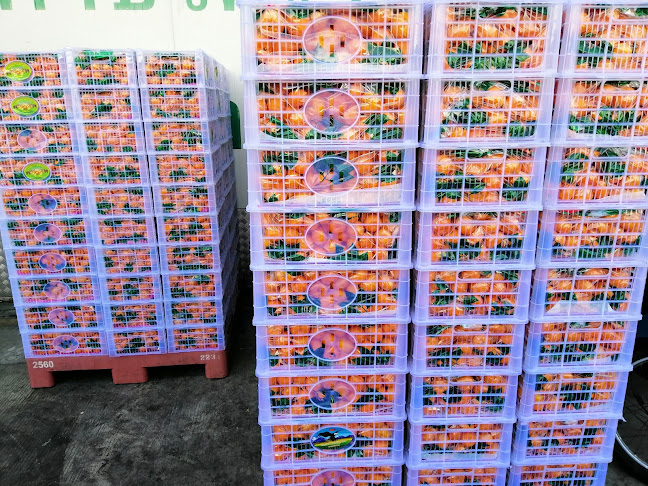 ร้าน คุณโบว์ ผลไม้