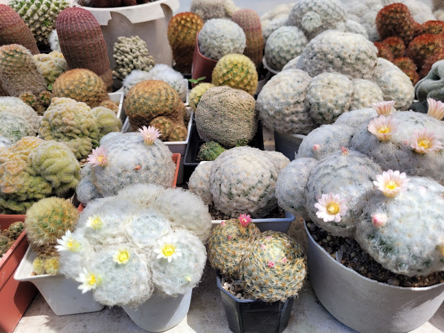 Opinii despre วันว่างว่างคาเฟ่ în อำเภอเมืองจันทบุรี - การบริการอาหารและที่พัก