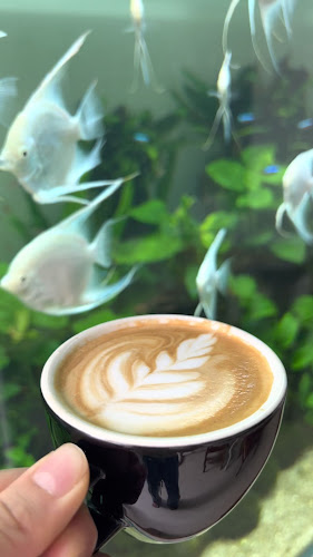 ไม้น้ำคาเฟ่ - กาแฟและต้นไม้น้ำ