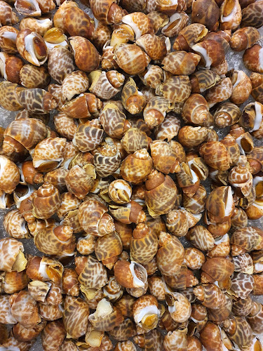 Comentarii opinii despre พิดโลกซีฟู้ด ทะเลเผา