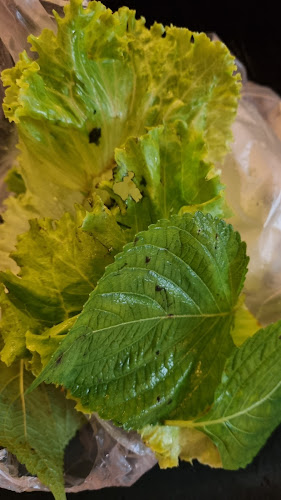 Opinii despre ฮังมี กัลบี în อำเภอบางละมุง - การบริการอาหารและที่พัก