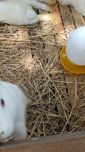 Opinii despre Thai Gallery Coffee Bar în อำเภอเมืองภูเก็ต - การบริการอาหารและที่พัก