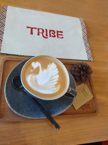 Comentarii opinii despre Tribe Cafe