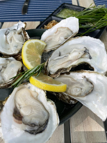 Comentarii opinii despre KEP