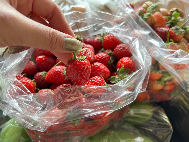 38/7 ถนนพระองค์ขาว ตำบล ในเมือง อำเภอเมืองพิษณุโลก พิษณุโลก 65000