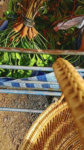 ตลาดใบกล้วย