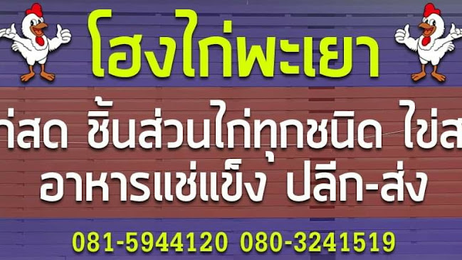 โฮงไก่พะเยา - เมือง