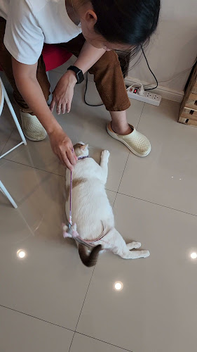 Opinii despre COFFEE HOUSE เฮ้ย…กาแฟ în อำเภอบางละมุง - การบริการอาหารและที่พัก