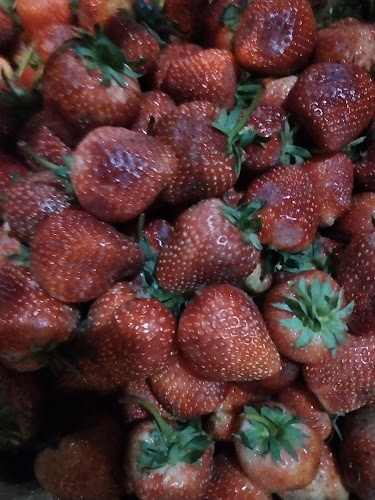 50 เดชอุดม ซอย 6/8 ตำบลในเมือง อำเภอเมืองนครราชสีมา นครราชสีมา 30000