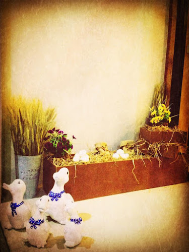 13-15 ถนน เหนือวัง พระปฐมเจดีย์ อำเภอเมืองนครปฐม นครปฐม 73000