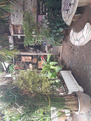 ร้านอาหาร - การบริการอาหารและที่พัก