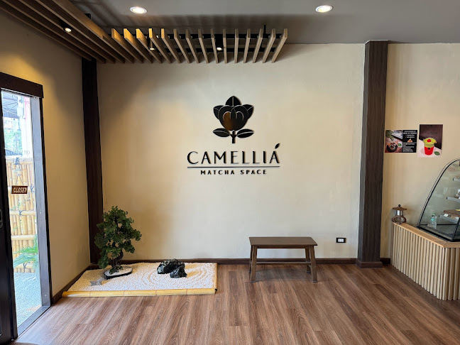 Comentarii opinii despre Camellia Matcha Space