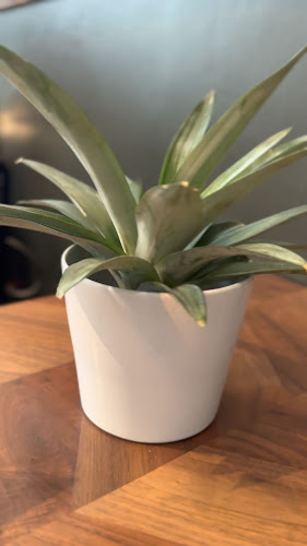 The Gardener Cafe' - การบริการอาหารและที่พัก