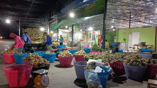 Opinii despre ตลาดไทยเจริญ ตลาดกลางผลไม้จังหวัดพิษณุโลก în อำเภอเมืองพิษณุโลก - การบริการอาหารและที่พัก