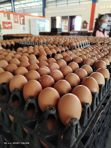 ไก่ต้มน้ำปลากาญจนา - อำเภอบางบัวทอง