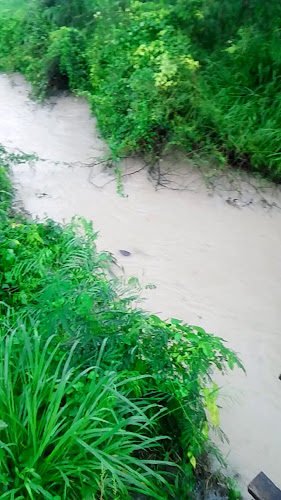 Opinii despre ตลาดผู้ใหญ่กุ่ย în อำเภอบางละมุง - การบริการอาหารและที่พัก