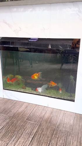 Opinii despre COZY CAFE AT KARON în อำเภอเมืองภูเก็ต - การบริการอาหารและที่พัก