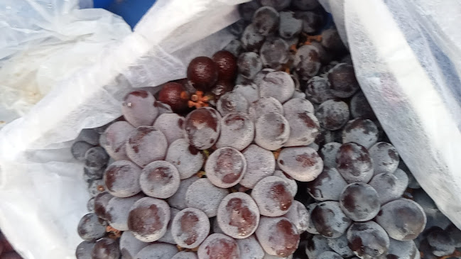 100 ถ. ทุ่งสุขลา ตำบลทุ่งสุขลา อำเภอศรีราชา ชลบุรี 20230