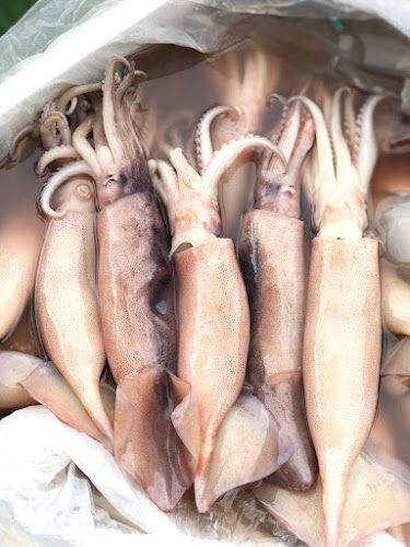 Comentarii opinii despre พบรัก ณ เพชรบูรณ์