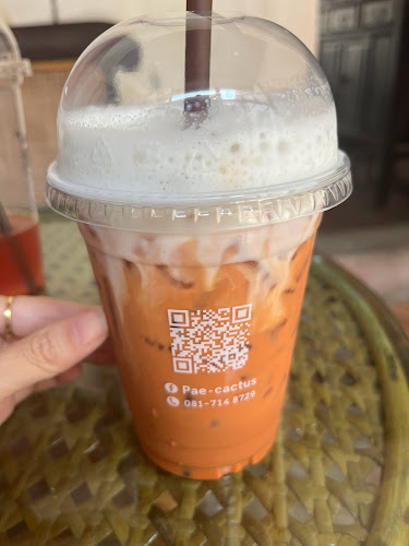 Opinii despre Homecoftus (Pae-cactus) în อำเภอเมืองสงขลา - การบริการอาหารและที่พัก