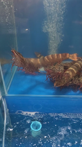 Opinii despre The Dome BBQ restaurant Patong în อำเภอกะทู้ - การบริการอาหารและที่พัก