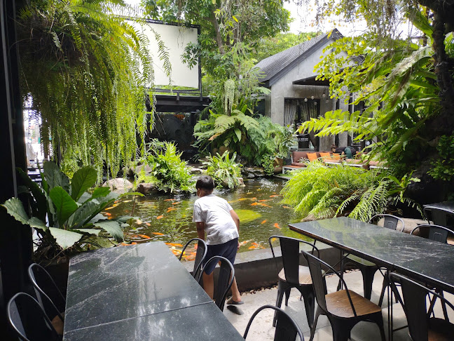 เรนฟอร์เรสคาเฟ่ พัทยา - อำเภอบางละมุง