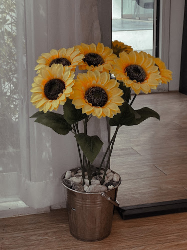 north coffee and more - การบริการอาหารและที่พัก