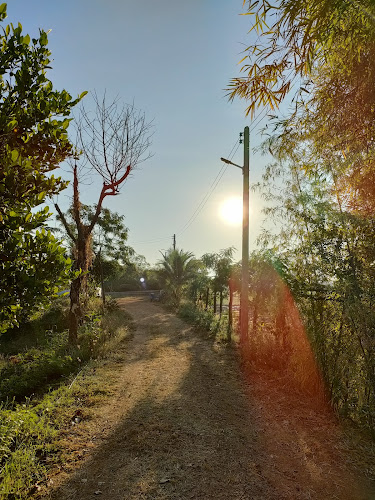 C5HH+V5 ตำบล ดงมูลเหล็ก อำเภอเมืองเพชรบูรณ์ เพชรบูรณ์ 67000