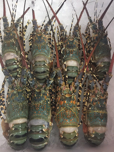 411 20 ม.4 เมืองพัทยา อำเภอบางละมุง ชลบุรี 20150