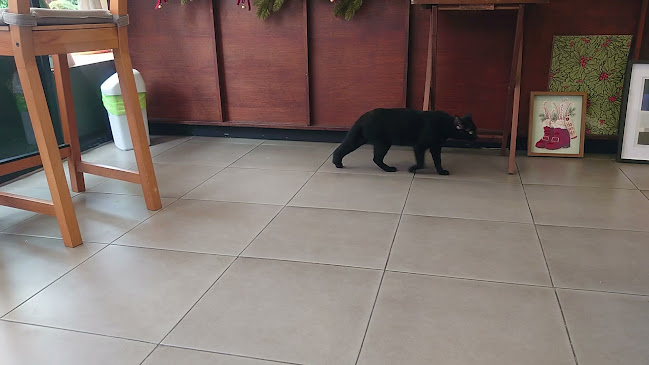 Mistletoe flour & thyme cafe - อำเภอบางละมุง