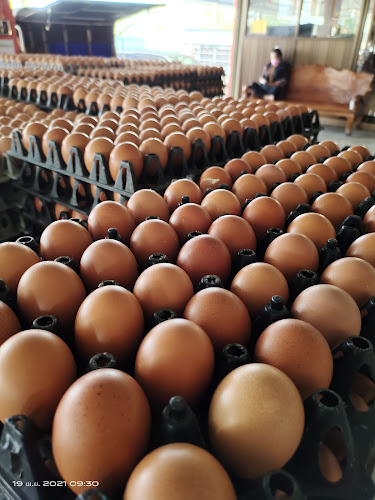 ไก่ต้มน้ำปลากาญจนา