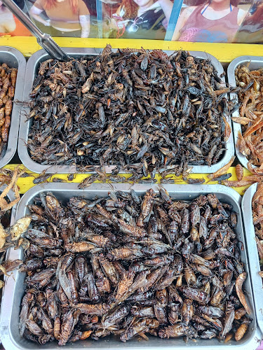 ล้านคุณย่า เตียงผ้าใบ หาดจอมเทียน ล็อค 152