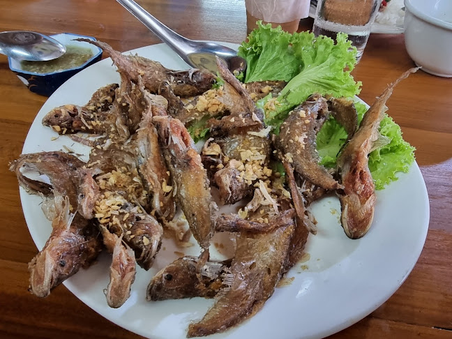 ครัวดาดา2 - การบริการอาหารและที่พัก