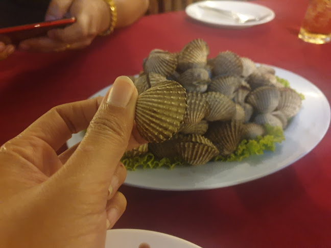 Comentarii opinii despre ฉ. วังปู