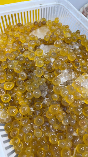 ศรีนวล ตลาดทะเลไทย - เมือง