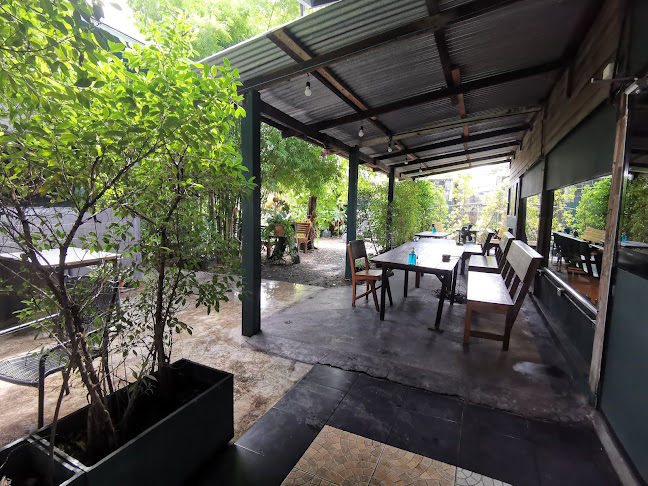 Comentarii opinii despre Midori Coffee Roastery