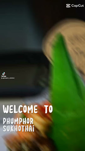 Comentarii opinii despre PhumPhor Coffee​ Restaurant​ ภูมิพ่อ คอฟฟี่เรสเตอรองท์