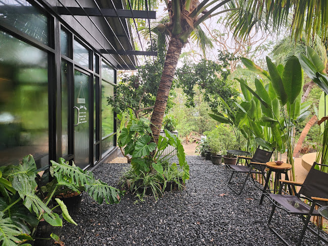 A Slow Bar : Just Another Coffee - การบริการอาหารและที่พัก