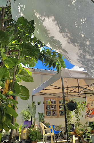 Comentarii opinii despre ข้างบ้านคอฟฟี่