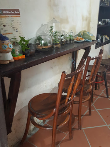 Comentarii opinii despre Homecoftus (Pae-cactus)