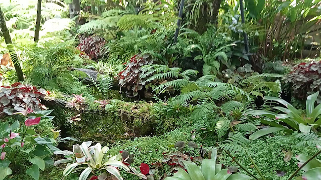 5HRV+PP5 264 ถนน ทะเลหลวง ตำบลบ่อยาง อำเภอเมืองสงขลา สงขลา 90000