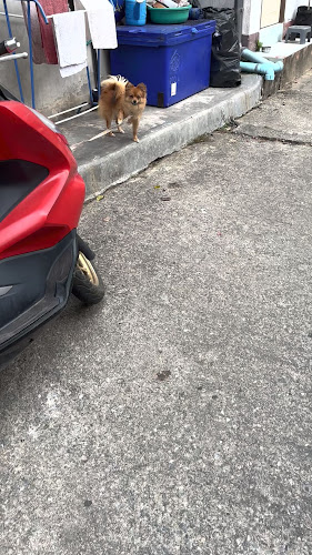 Opinii despre Dar's Burger în อำเภอกะทู้ - การบริการอาหารและที่พัก