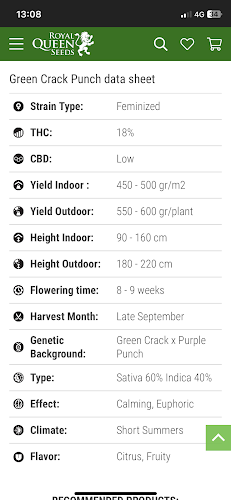 Comentarii opinii despre Thai bloom